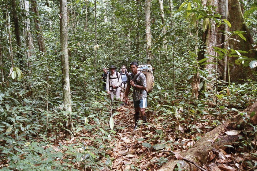 Into the deep Amazon Rainforest