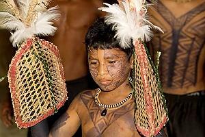 ameisen handschuh Secrets of the Amazon: The Satéré-Mawê in the Rio Marau Region Size:55 cm (Riders 5'9
