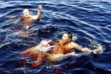 Swimming with pink river dolphins called botos Swimming with pink river dolphins called botos