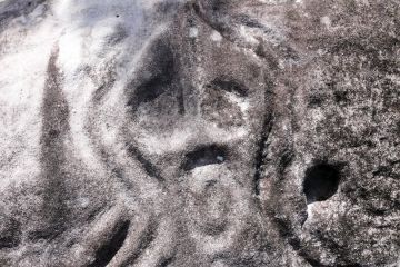 The Scream - Mystical wall carvings of Novo Airão
